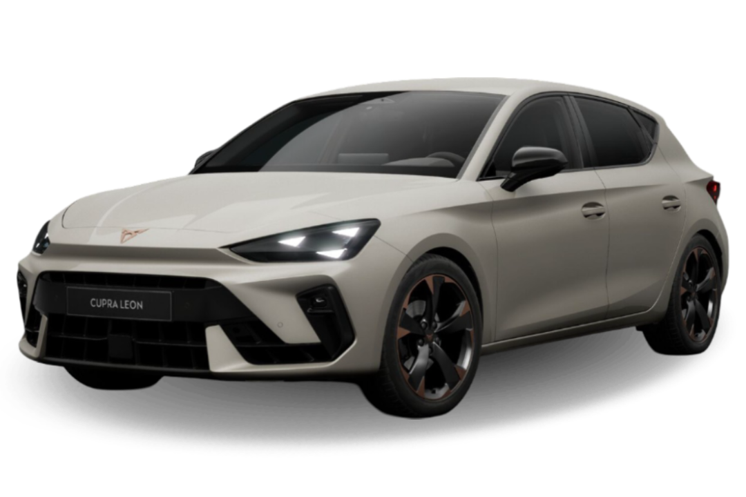 tayga gray